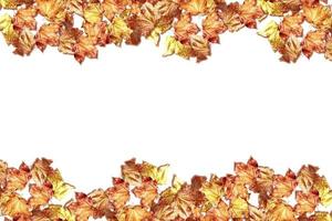 fondo abstracto de hojas de otoño foto