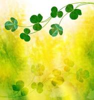 Green clover leaves on a background summer landscape photo