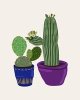 Vector isolated illustration of cactuses in pots.