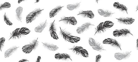 Feathers on white background. Hand drawn sketch style. vector