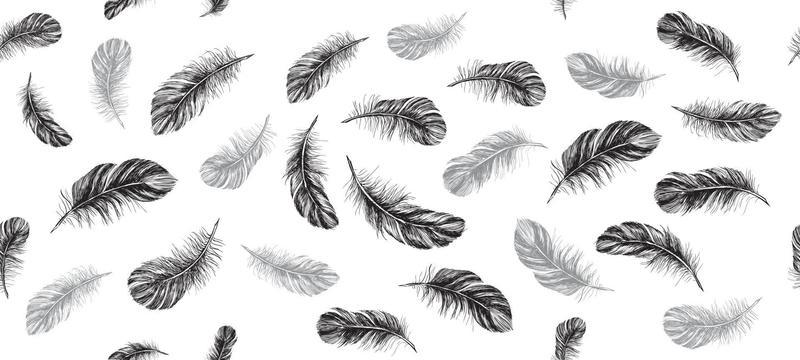Feathers on white background. Hand drawn sketch style.
