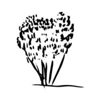 Hand drawn vector tree ink sketch.