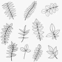 Simplicity floral freehand continuous line drawing flat design. vector