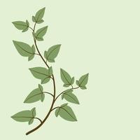 Simplicity ivy freehand drawing flat design. vector