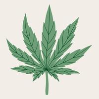 dibujo a mano alzada de hoja de cannabis simple. vector