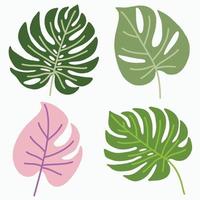 Simplicity monstera leaf freehand continuous line drawing flat design. vector