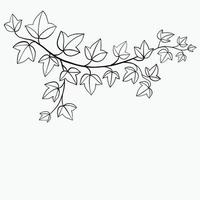 Simplicity ivy freehand drawing flat design. vector