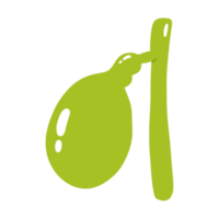 Gallbladder illustration art png