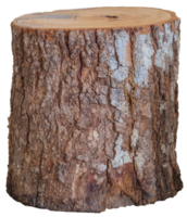 fundo transparente de tronco de árvore de log de madeira isolado. png