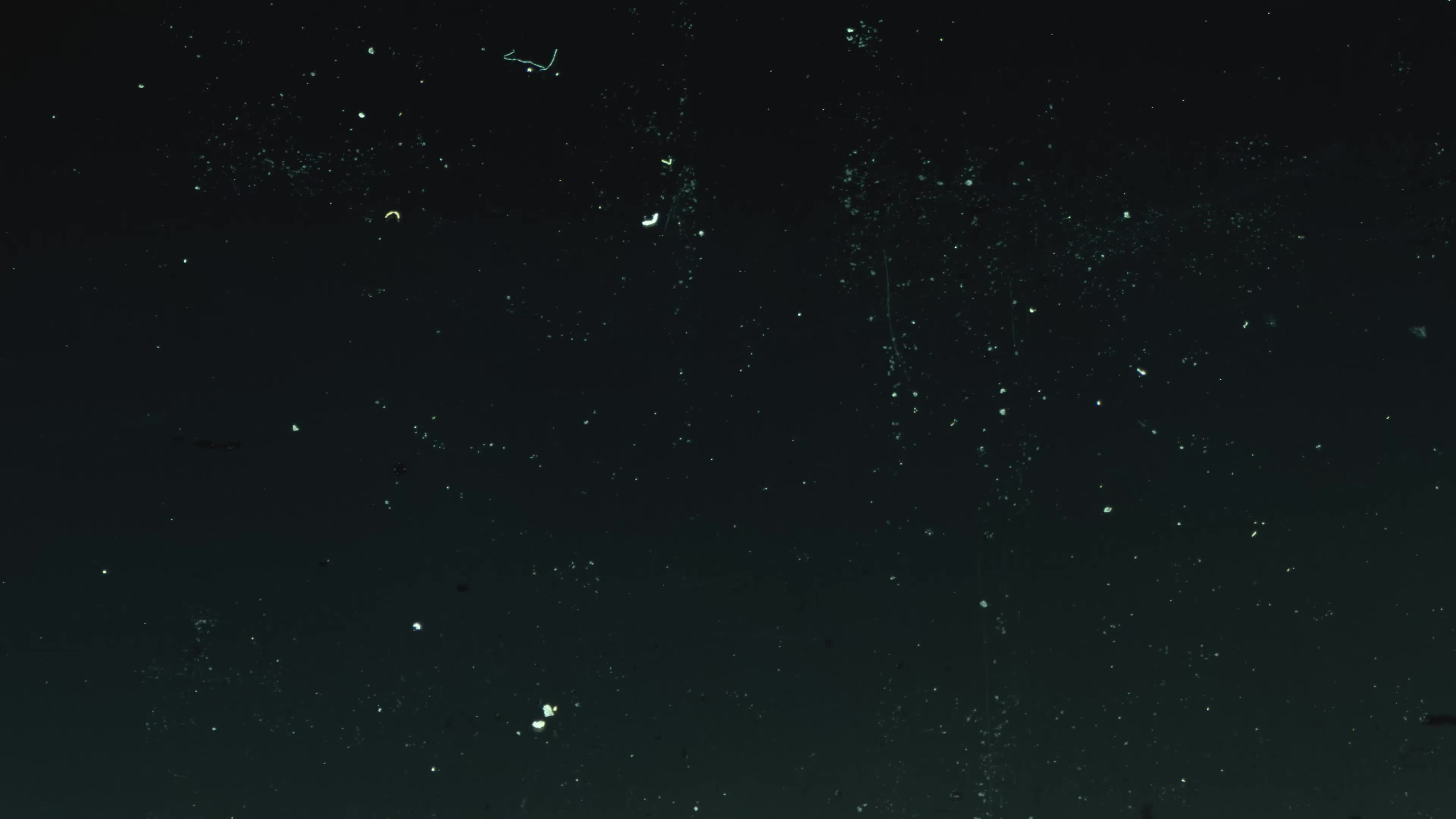 vhs hudeffekt på svart bakgrund, gammal vhsvideoeffekt 9902624