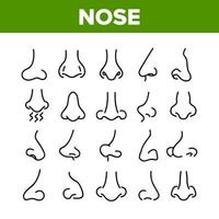 conjunto de iconos de colección de órganos de rostro humano de nariz vector
