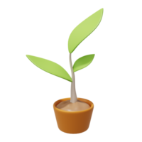 plante verte dans le sol. pousse agricole. rendu 3D. png