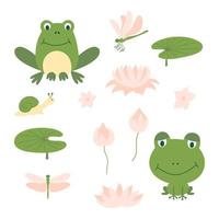 conjunto de dibujos animados linda rana verde. divertidas ranas diferentes con caracoles, plantas acuáticas, hojas de lirio y libélula. vector