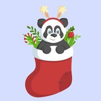 Cute panda in a red stocking with branches, leaves and Christmas decor. Holiday concept. vector
