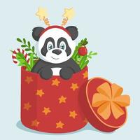 lindo panda en una caja grande roja con ramas, hojas y decoración navideña. concepto de vacaciones. vector