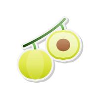 Star gooseberry sticker icon, Vector, Illustration. vector