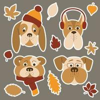 Set of cartoon dogs in autumn clothes and accessories. Autumn concept of pets. Yellow and red leaves. vector