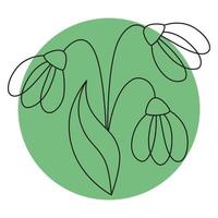 Snowdrop flowers icon on color backgrond. Simple line doodle Snowdrops icon. Vector illustration in editable line.