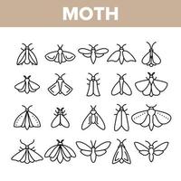 Moth, Insects Entomologist Collection Vector Linear Icons Set