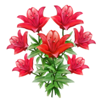 red lily flower bouquet illustration