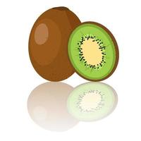 kiwi ilustración entera y en rodajas fruta exótica para dieta saludable y fuente de vitamina c vector