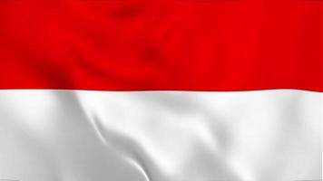 bandera ondeante de indonesia, bandera de indonesia video