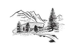 sketch of mountain lake and spruce outline vector