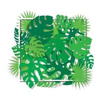 tropical leafs template background vector illustration