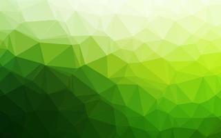 Light Green vector low poly texture.