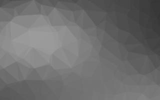 Light Silver, Gray vector low poly texture.