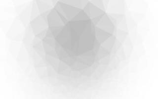 Light Silver, Gray vector polygonal template.