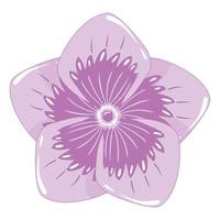 Simple purple phlox flower in flat style isolated on white background vector