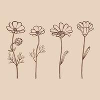 Set of herbs and wild flowers. Hand drawn floral elements. Vector illustration.