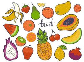 conjunto de frutas aislado sobre fondo blanco. gráficos vectoriales vector