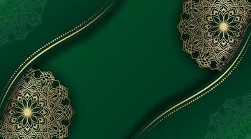 luxury green background  with golden mandala vector