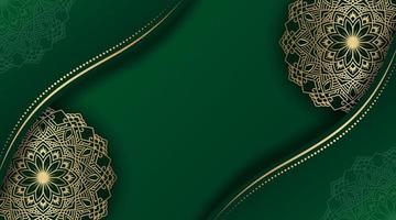 luxury green background  with golden mandala vector