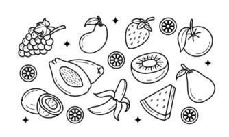 Doodle fruits. Natural tropical fruit, organic fruits or vegetarian food. Vector isolated icons