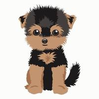 Vector illustration of a Yorkshire Terrier dog. The dog is isolated on a white background.