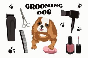 Dog grooming. Set of vector cartoon objects