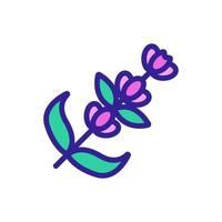 vector de icono de flor de lavanda. ilustración de símbolo de contorno aislado