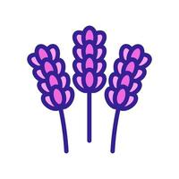 Lavender flower icon vector. Isolated contour symbol illustration vector