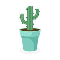 Spiny cactus in a flower pot, on a white background, vector illustration