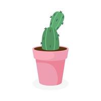 Spiny cactus in a flower pot, on a white background, vector illustration