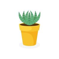 cactus espinosos en una maceta, sobre un fondo blanco, ilustración vectorial vector