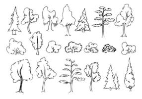 Doodle Trees set. Sketch of Pine, bush and Oak in simple Outline style. Hand drawn vector illustration