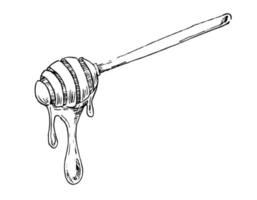 Icon for Honey Spoon. Sketch of wooden Stich with syrup drip. Hand drawn etching. Vector illustration in doodle style