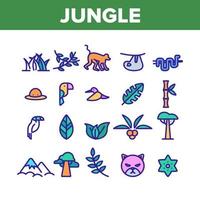 Jungle Forest Collection Elements Icons Set Vector