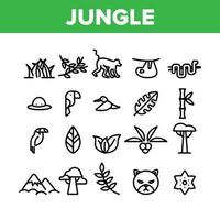 Jungle Forest Collection Elements Icons Set Vector