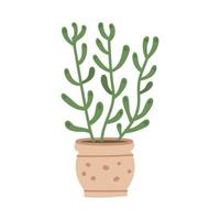 cute cacti and succulent in pot on white background. Vector illustration.