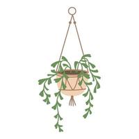 Plant in hanging pot. Houseplant hang on rope, decorative indoor plant, vector